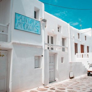 Street Mykonos