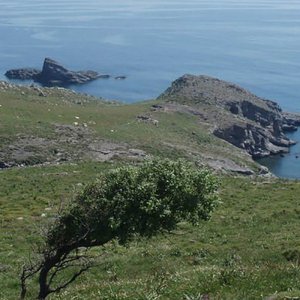 Hike around the island