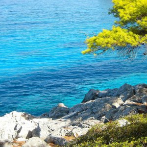 La costa di Angistri nel verde