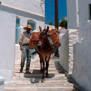 Le stradine della Chora Sifnos 