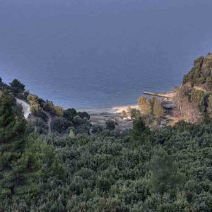 Green Sithonia