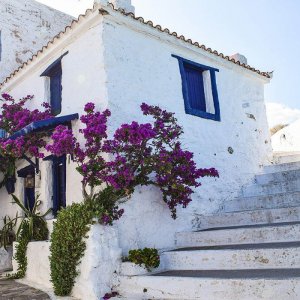 Taverna a Skopelos