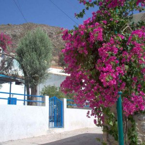 scorcio vicolo chora, tilos